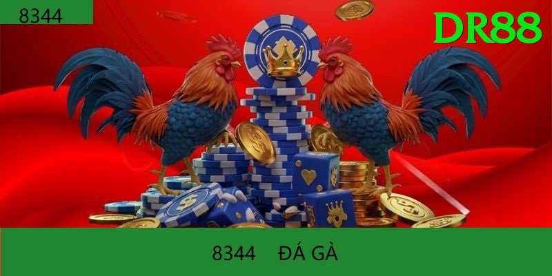 Đá Gà Trực Tiếp - dr88 - Sự kiện giới hạn